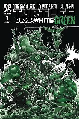 Buy TMNT: Black, White, & Green #1 (Cover B James Stokoe) (2024) • 9.20£