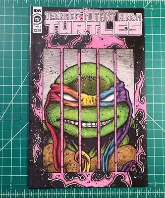 Buy Teenage Mutant Ninja Turtles #117 (2021) NM TMNT Eastman Variant IDW Comic • 23.71£