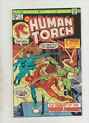 Buy Human Torch #6 -  Threat Of The Torrid Twosome - (Grade 9.2) 1975 • 7.84£