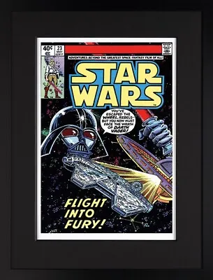 Buy Marvel Comics Group Star Wars #23 May 1979 Flight Into Fury - Signed By Stan Lee • 2,300£