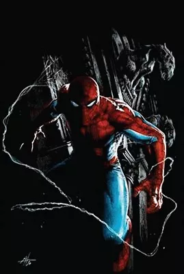 Buy Amazing Spider-Man #47 (RARE Gabriele Dell'Otto Virgin Variant) • 19.99£