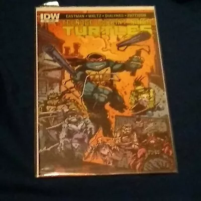 Buy Teenage Mutant Ninja Turtles # 53 Subscription Cover (2015, IDW) 1st Print • 7.96£