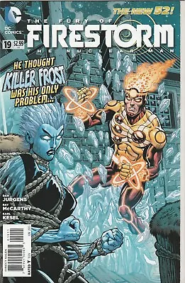 Buy THE FURY OF FIRESTORM # 19.  The New 52.  VFN-  BAGGED/BOARDED. • 5.75£