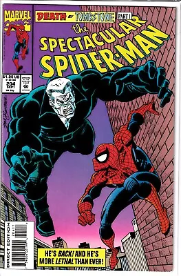 Buy The Spectacular Spider-Man #204 Marvel Comics • 4.29£