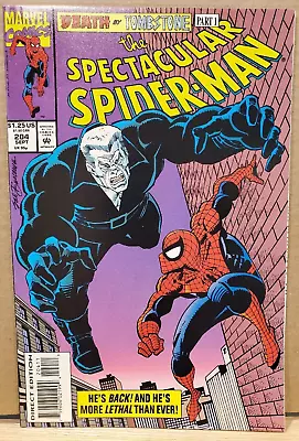 Buy Spectacular Spider-Man 204 Tombstone Steven Grant Sal Buscema 1993 Marvel Comics • 2.40£