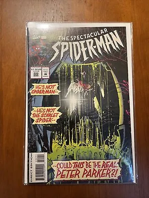 Buy The Spectacular Spider-Man #222  (Marvel Comics 1994) • 2.76£