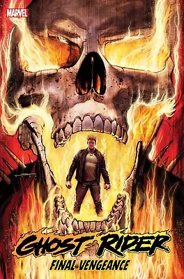 Buy Ghost Rider Final Vengeance #1 - Bagged & Boarded • 5.15£