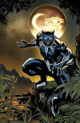 Buy Ultimate Black Panther #1 3rd Print 1:25 Caseilli Virgin Variant (10/04/2024 • 49.95£