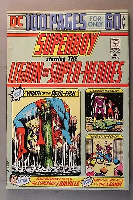 Buy Superboy Starring The Legion Of Super-Heroes #202  100 Pages  1974  • 19.79£