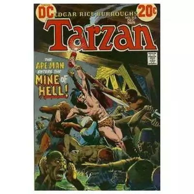 Buy Tarzan (1972 Series) #215 In Very Fine Condition. DC Comics [n] • 10.83£