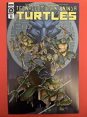 Buy IDW Teenage Mutant Ninja Turtles 111 Cover RI 1:10 Variant TMNT • 11.23£