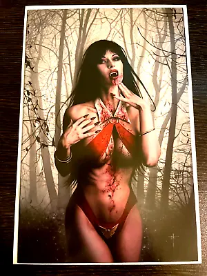 Buy Vampirella #1 Vs Red Sonja Jay Ferguson Exclusive Virgin Cover Ltd 400 Nm+ • 47.94£
