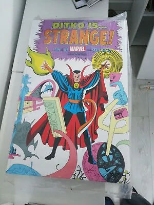 Buy Ditko Is Strange! GIANT Book 21.5  X 14  Hardcover By Steve & Stan Dr Strange • 160£