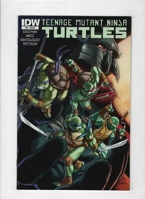 Buy Teenage Mutant Ninja Turtles 47 VF JUNE 2015 IDW RI Cover • 8.85£