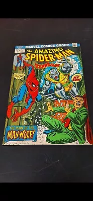 Buy The Amazing Spider-Man Comic #124 • 98.97£