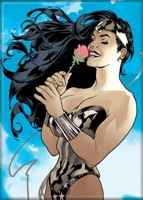 Buy Wonder Woman Comic Book #178 Cover Adam Hughes Art Image Refrigerator Magnet NEW • 4.73£
