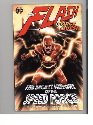 Buy The Flash Vol 10 Force Quest DC Graphic Novel NEW Never Read TPB • 2.36£
