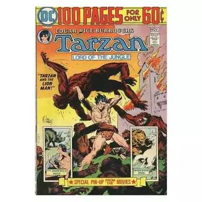 Buy Tarzan (1972 Series) #233 In Fine Condition. DC Comics [w* • 6.42£