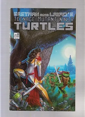 Buy Teenage Mutant Ninja Turtles #13 - 1st Jhanna! (6.0/6.5) 1988 • 8.01£