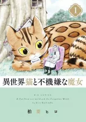 Buy Hiro Kashiwaba A Cat From Our World And The Forgotten Witch Vol. 1 (Paperback) • 9.89£