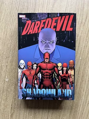 Buy Daredevil: Shadowland Omnibus (Like New) | Hardcover | Marvel Comics • 70£