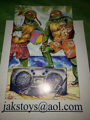 Buy Jak's Exclusive Teenage Mutant Ninja Turtles #105 Cover IDW TMNT 1st Future Lita • 31.62£