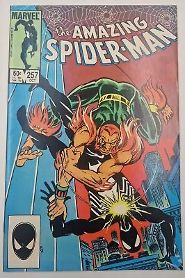 Buy The Amazing Spiderman #257 - 1984 Marvel Comics - High Grade 1st App Ned Leeds • 2.40£