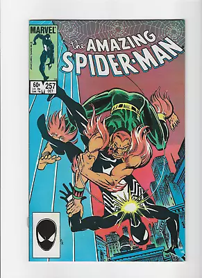 Buy The Amazing Spider-Man, Vol. 1 #257 • 8.69£