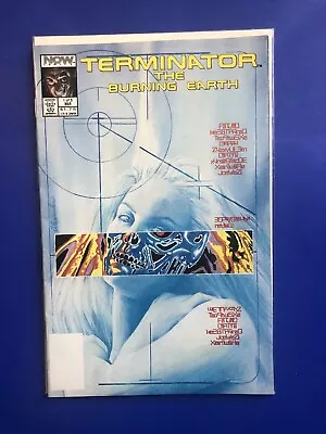 Buy TERMINATOR The BURNING EARTH # 1 1st APPEARANCE ALEX ROSS ART NOW COMICS 1989 • 16.40£