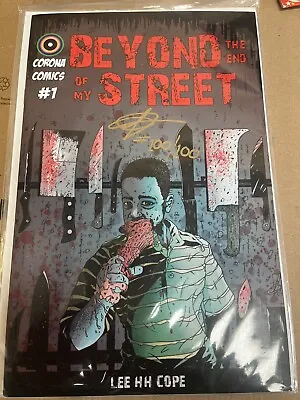 Buy BEYOND THE END OF MY STREET Comic #1 X3,2,3,4HORROR Rare Indy SIGNED Lee Cope • 5.99£