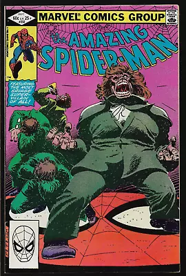 Buy THE AMAZING SPIDER-MAN (1963) #232 - Back Issue (S) • 7.99£