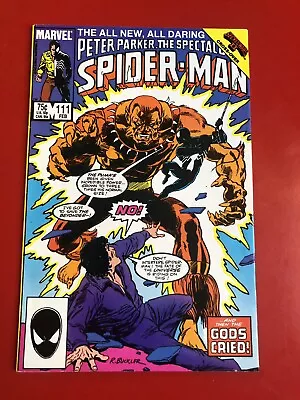 Buy The Spectacular Spider-man #111 Puma! Black Suit! Marvel Comics 1986 • 2.20£
