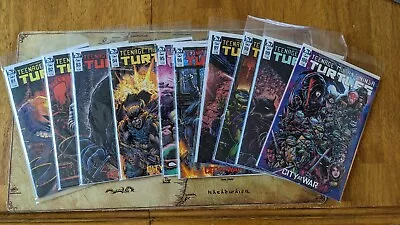 Buy Teenage Mutant Ninja Turtles IDW #91-100 Cover B NM 1st Printing Jennika Turtle • 98.54£