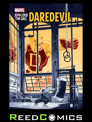 Buy JEPH LOEB AND TIM SALE DAREDEVIL GALLERY EDITION HARDCOVER (168 Pages) Hardback • 37.99£