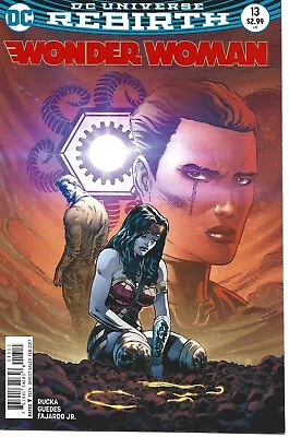 Buy Wonder Woman #13 Dc Comics 2017 Bagged And Boarded • 5.16£