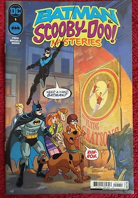 Buy Free P & P;  Batman & Scooby-Doo Mysteries #1, Feb 2024:  Nightwing, Deadman! • 4.99£