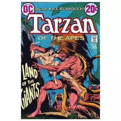 Buy Tarzan (1972 Series) #211 In Fine Minus Condition. DC Comics [r& • 5.20£