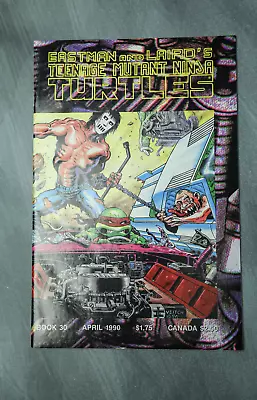 Buy Teenage Mutant Ninja Turtles 30 Rick Veitch Mirage Studios 1990 Casey Jones TMNT • 15.80£