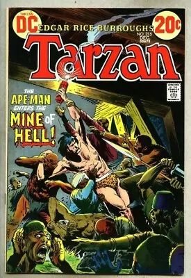Buy Tarzan #215-1972 Fn+ 9th DC Issue / Joe Kubert • 12.78£