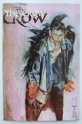 Buy The Crow #3 - 1st Printing - Image Comics April 1999 VF+ 8.5 • 7.25£