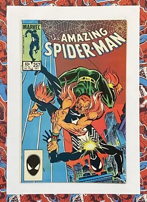 Buy AMAZING SPIDER-MAN #257 - OCT 1984 - 1st NED LEEDS AS HOBGOBLIN - FN/VFN (7.0) • 24.99£