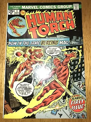 Buy Human Torch 1 Mid-High Grade Solo Torch                                      C10 • 18.32£