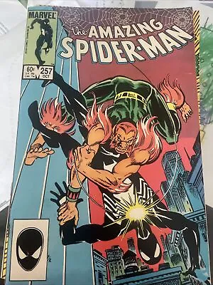 Buy 1984 Amazing Spider-Man 257 Rose Kingpin 2nd Puma Hobgoblin Fine- Mary Jane • 120.09£