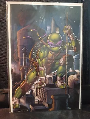 Buy Teenage Mutant Ninja Turtles #104RE Donatello Variant ..(267) • 9£