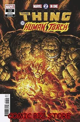 Buy Marvel Two-in-one #12 (2018) 1st Printing Human Torch & Invisible Woman Tan Var • 3.40£