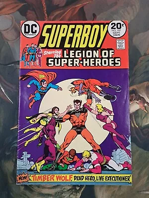 Buy Superboy #197 DC Comics 1973 • 19.99£