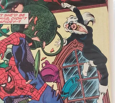 Buy The Amazing Spider-Man Marvel Comic Book 1980 #204 She's The Black Cat! • 20.11£