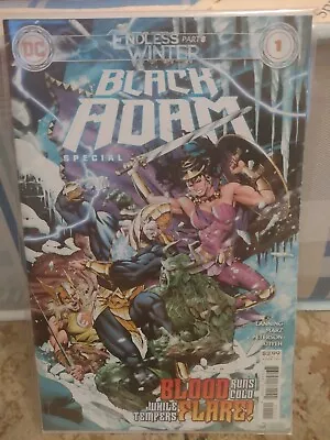 Buy BLACK ADAM ENDLESS WINTER Part 8 SPECIAL #1 VF (DC 2020 1st Print) COMIC • 2£