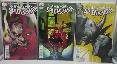 Buy The Amazing Spider-Man #625,626,627 (2010) NM Death Rhino, 1st Captain Universe • 10.39£