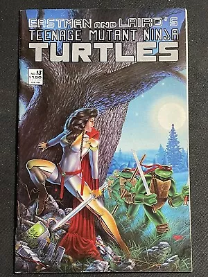 Buy Teenage Mutant Ninja Turtles #13 (1987) Eastman Laird, 1st Appearance Of Jhanna • 19.98£